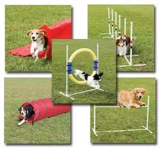 agility