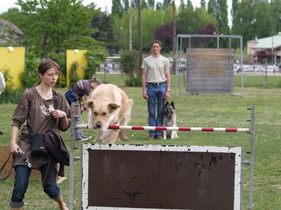  BOUNTIE ET ELODIE saut en hauteur