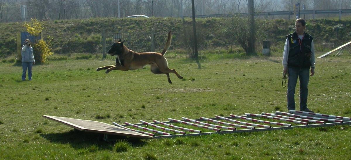 Arko fosse