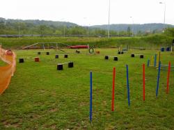 PARCOURS AGILITY DU CLUB